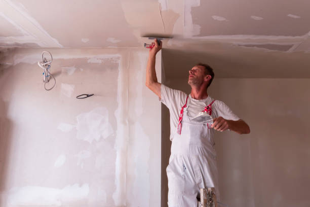 Best Drywall Repair  in USA